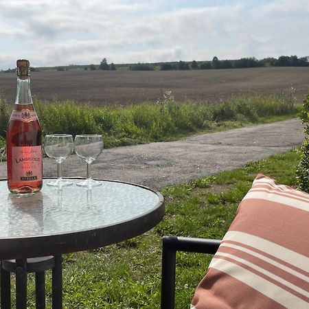 A True Nature Pearl In Idyllic Surroundings But Close To The City Holbæk Eksteriør bilde