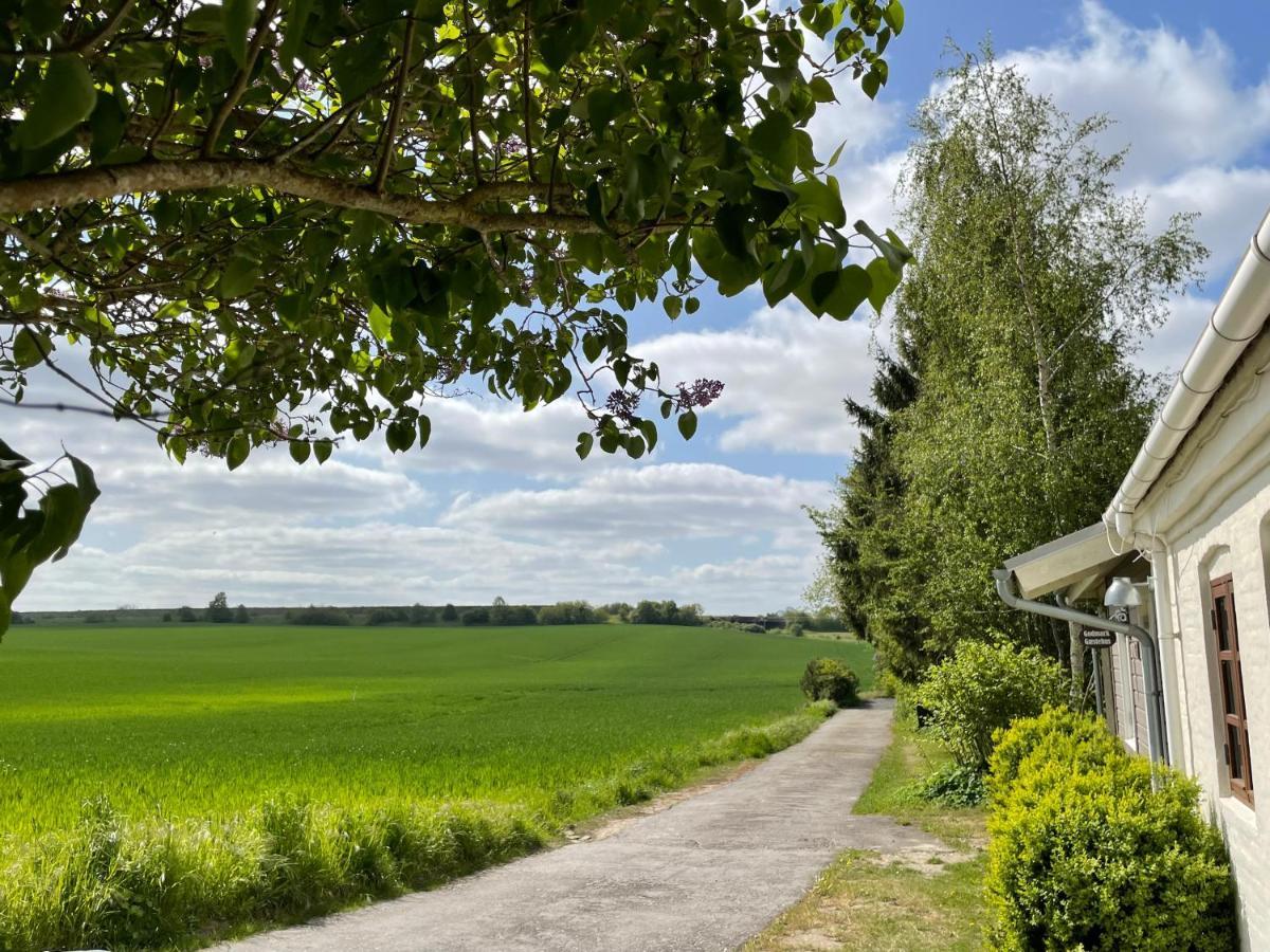 A True Nature Pearl In Idyllic Surroundings But Close To The City Holbæk Eksteriør bilde