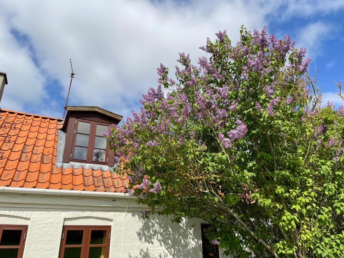 A True Nature Pearl In Idyllic Surroundings But Close To The City Holbæk Eksteriør bilde